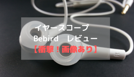イヤースコープ　Bebird　レビュー【衝撃！画像あり】